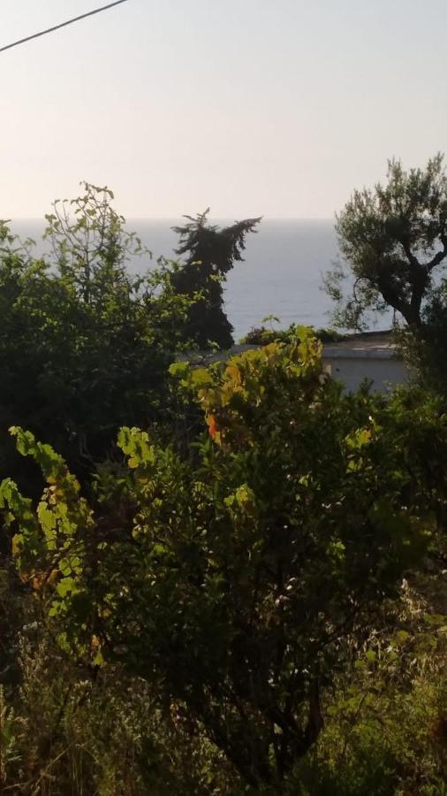Gjestgiverier Mullaj Vlorë